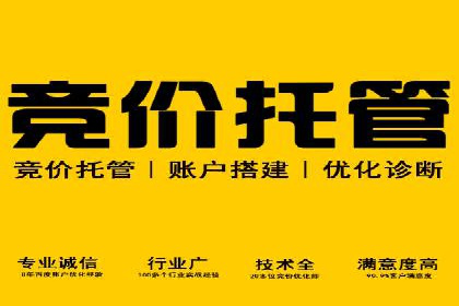 专业SEM托管公司案例分享：提升流量秘诀